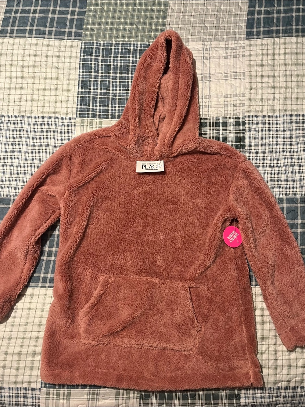 The Children's Place Plush Hooded Pullover - Rosewood